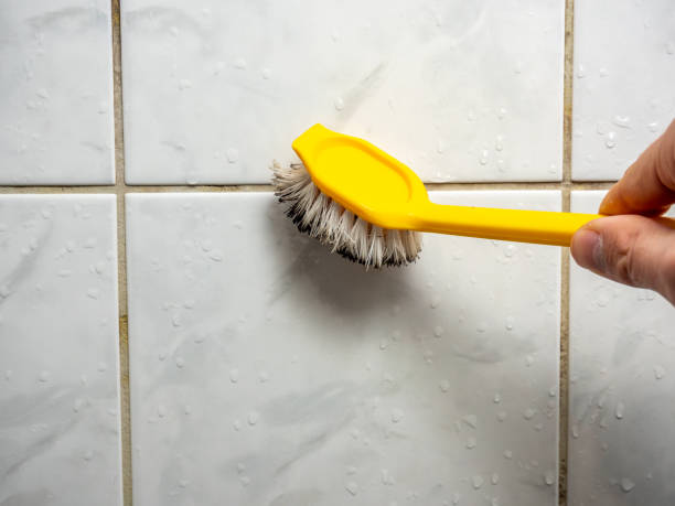 Best Mold Testing and Inspection Services in Fall City, WA
